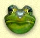 Haiku Frog Image
